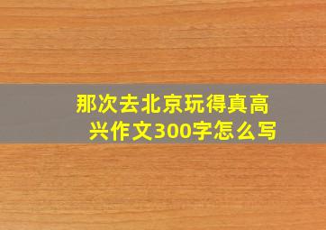 那次去北京玩得真高兴作文300字怎么写