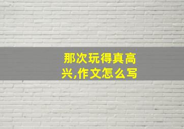 那次玩得真高兴,作文怎么写