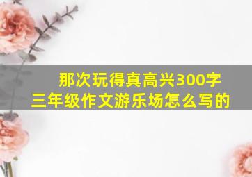 那次玩得真高兴300字三年级作文游乐场怎么写的