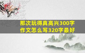 那次玩得真高兴300字作文怎么写320字最好