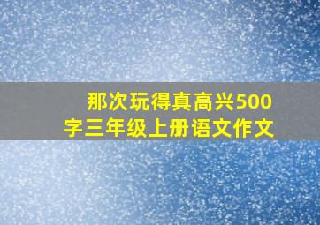 那次玩得真高兴500字三年级上册语文作文