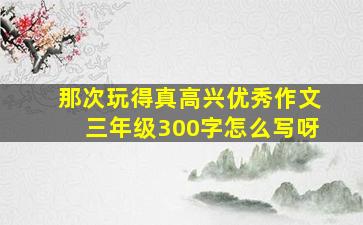 那次玩得真高兴优秀作文三年级300字怎么写呀