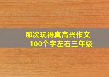 那次玩得真高兴作文100个字左右三年级