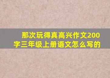 那次玩得真高兴作文200字三年级上册语文怎么写的