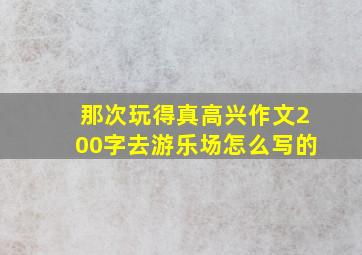 那次玩得真高兴作文200字去游乐场怎么写的