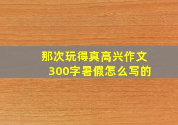 那次玩得真高兴作文300字暑假怎么写的