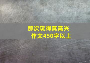 那次玩得真高兴作文450字以上