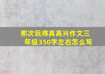 那次玩得真高兴作文三年级350字左右怎么写