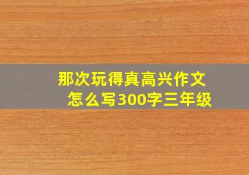 那次玩得真高兴作文怎么写300字三年级