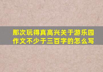 那次玩得真高兴关于游乐园作文不少于三百字的怎么写