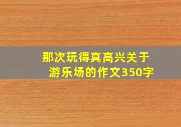 那次玩得真高兴关于游乐场的作文350字