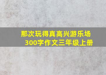 那次玩得真高兴游乐场300字作文三年级上册