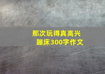 那次玩得真高兴蹦床300字作文