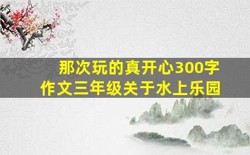 那次玩的真开心300字作文三年级关于水上乐园