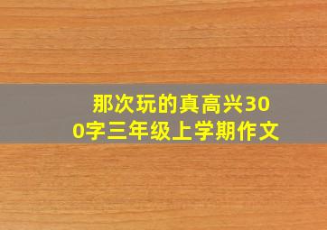 那次玩的真高兴300字三年级上学期作文