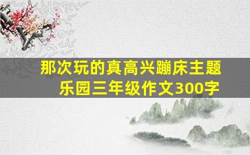 那次玩的真高兴蹦床主题乐园三年级作文300字