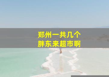 郑州一共几个胖东来超市啊