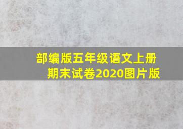 部编版五年级语文上册期末试卷2020图片版