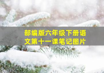 部编版六年级下册语文第十一课笔记图片