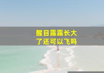 醒目露露长大了还可以飞吗