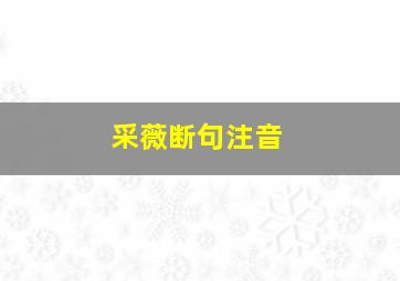 采薇断句注音