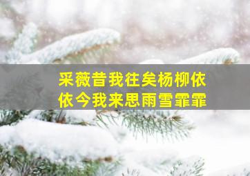 采薇昔我往矣杨柳依依今我来思雨雪霏霏