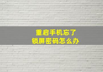 重启手机忘了锁屏密码怎么办