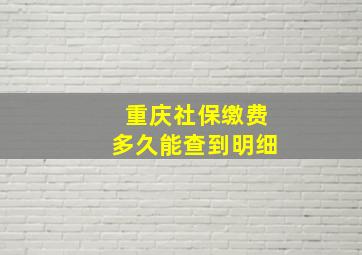 重庆社保缴费多久能查到明细