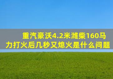 重汽豪沃4.2米潍柴160马力打火后几秒又熄火是什么问题