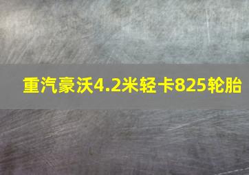 重汽豪沃4.2米轻卡825轮胎