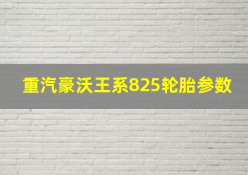 重汽豪沃王系825轮胎参数