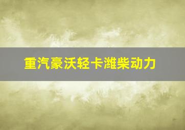 重汽豪沃轻卡潍柴动力