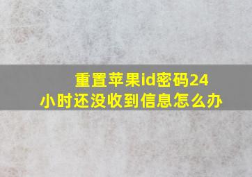 重置苹果id密码24小时还没收到信息怎么办