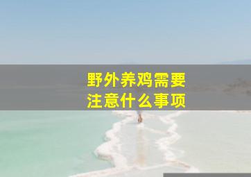 野外养鸡需要注意什么事项