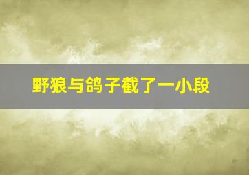 野狼与鸽子截了一小段