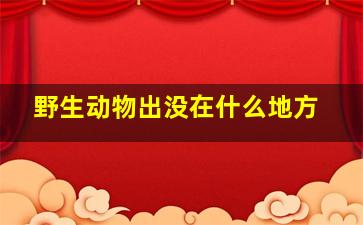 野生动物出没在什么地方