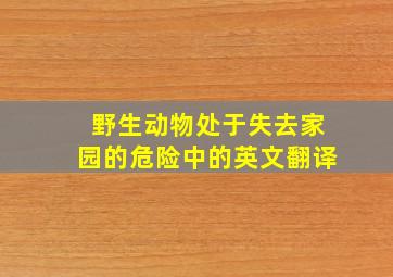 野生动物处于失去家园的危险中的英文翻译