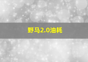 野马2.0油耗