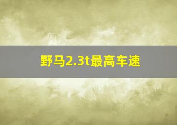 野马2.3t最高车速