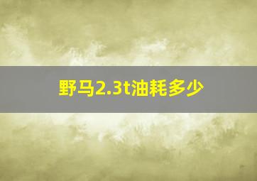 野马2.3t油耗多少