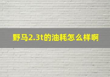 野马2.3t的油耗怎么样啊