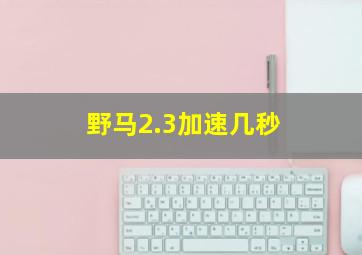 野马2.3加速几秒