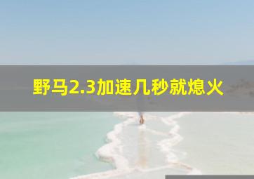 野马2.3加速几秒就熄火