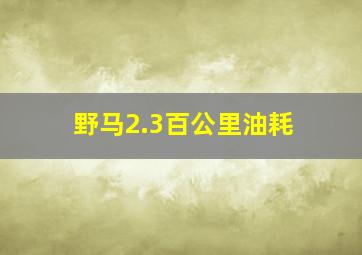 野马2.3百公里油耗