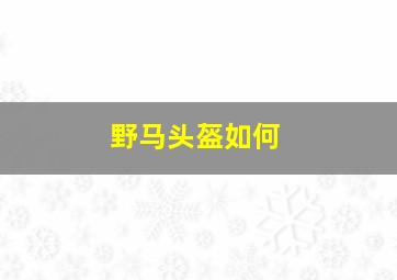 野马头盔如何