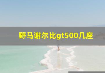 野马谢尔比gt500几座