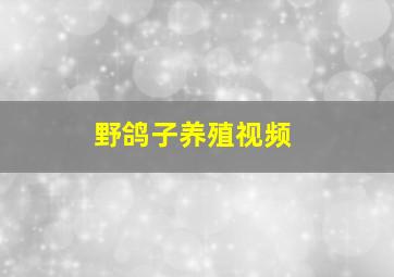 野鸽子养殖视频