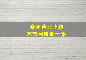 金刚芭比上综艺节目是哪一集