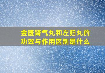 金匮肾气丸和左归丸的功效与作用区别是什么