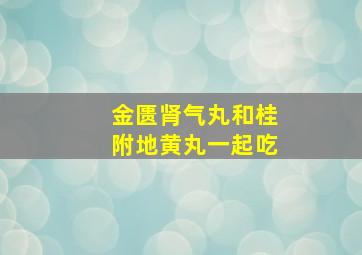 金匮肾气丸和桂附地黄丸一起吃